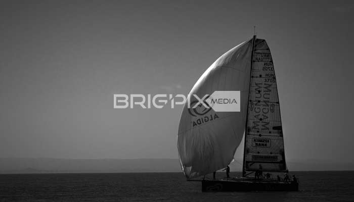 JegesmedveKupa2019 - 3520