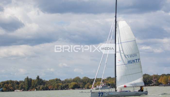 MOLegykezes2017 - 2315