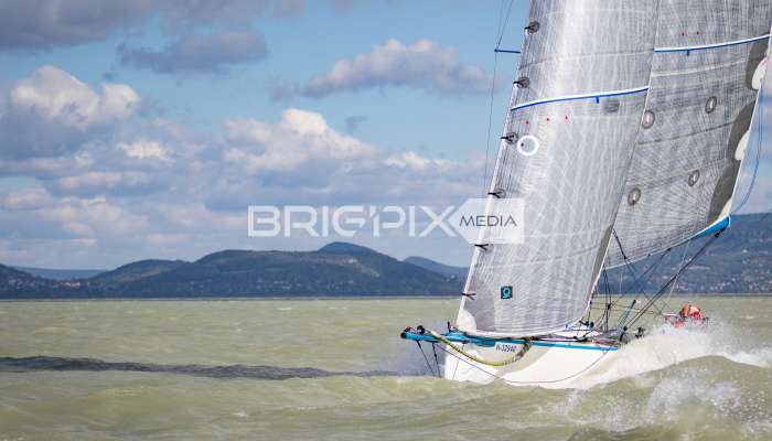 MOLegykezes2017 - 2299