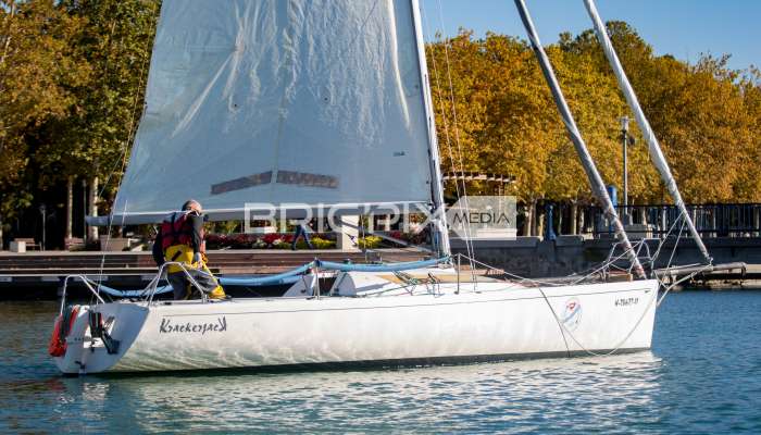 MOLegykezes2017 - 2192