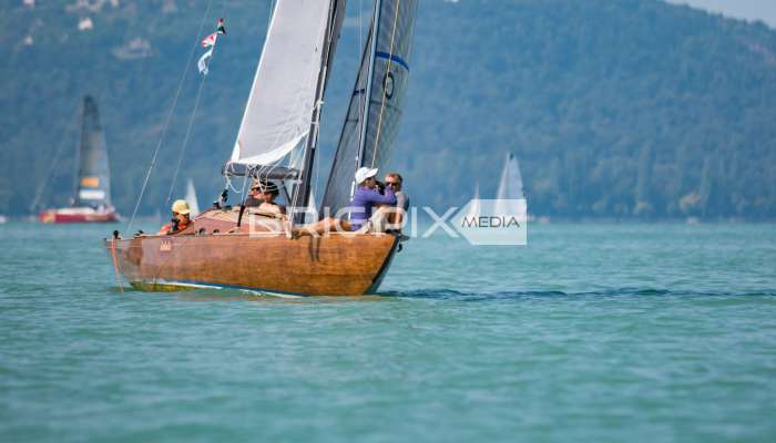 Feherszalag2018 - 1591