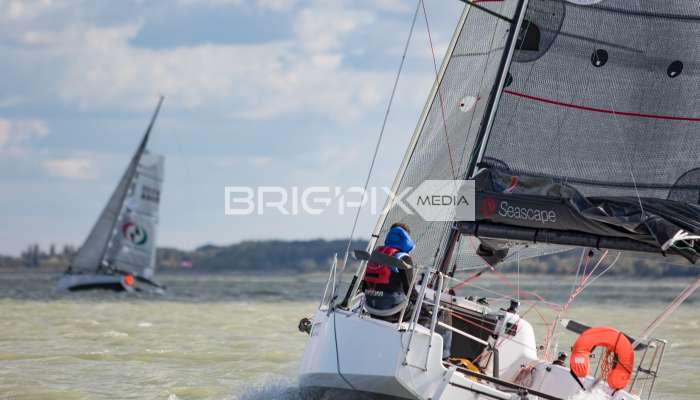 MOLegykezes2017 - 2401