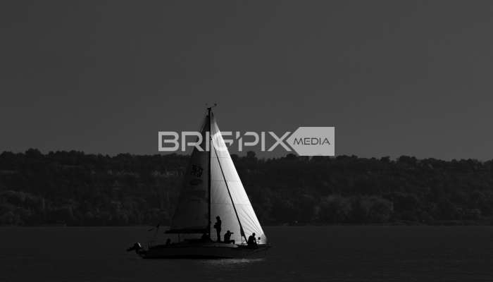 JegesmedveKupa2019 - 3516