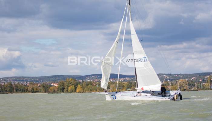 MOLegykezes2017 - 2314