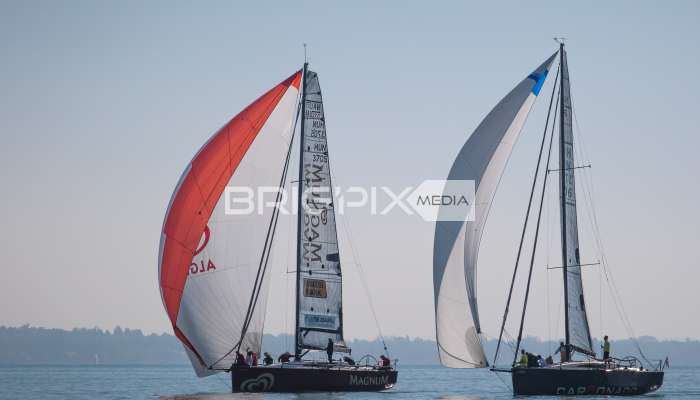 JegesmedveKupa2019 - 3525