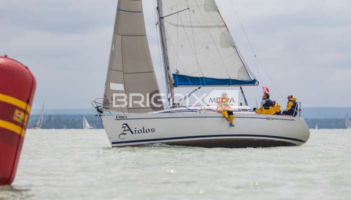 MihalkovicsKupa - 956