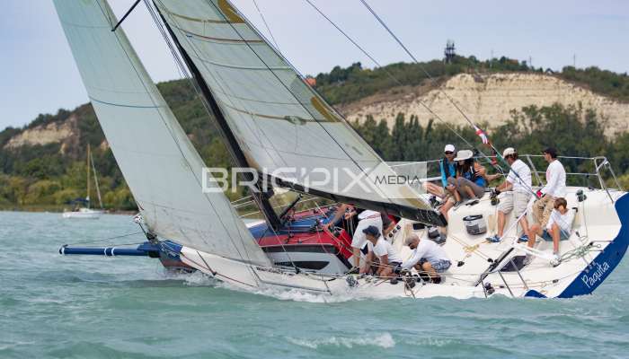 AlkotmanyKupa2017 - 2473