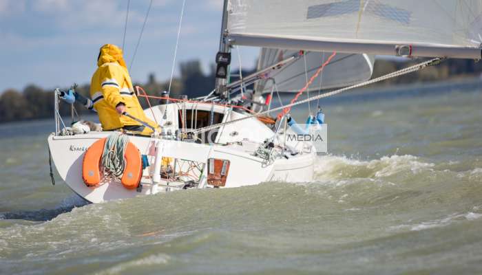 MOLegykezes2017 - 2380