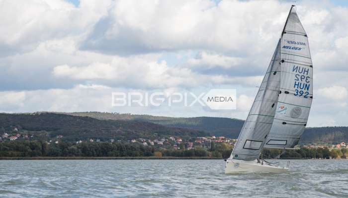 MOLegykezes2017 - 2321