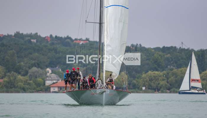 Feherszalag2018 - 1514