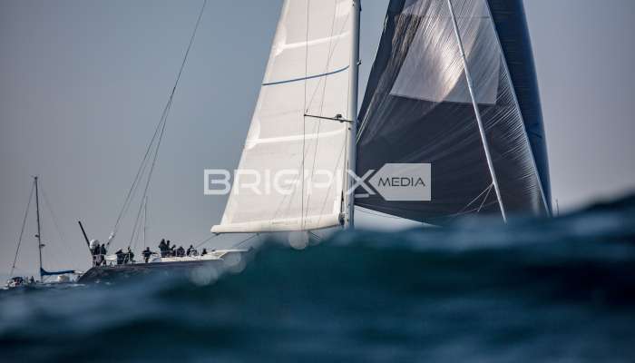 Barcolana /2018 - 1460