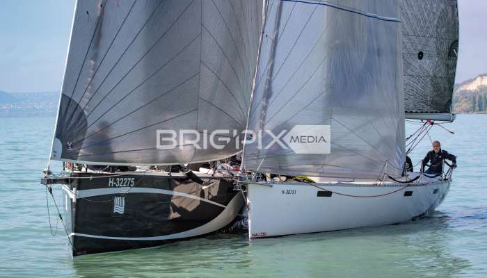 JegesmedveKupa2019 - 3496