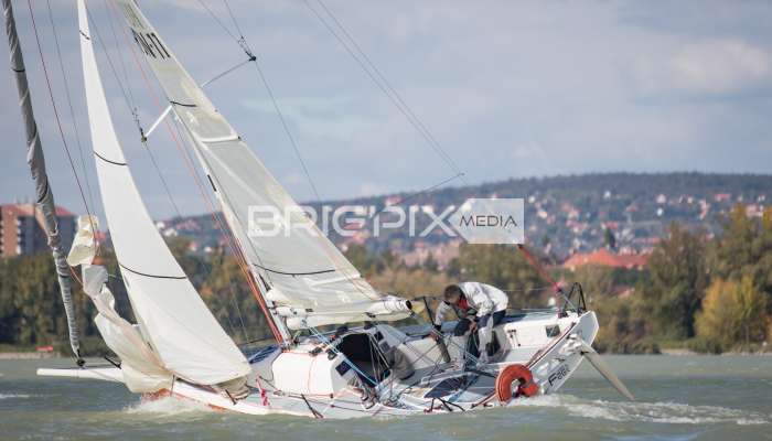 MOLegykezes2017 - 2332