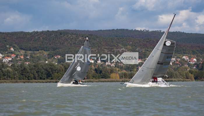 MOLegykezes2017 - 2339