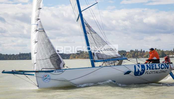 MOLegykezes2017 - 2313