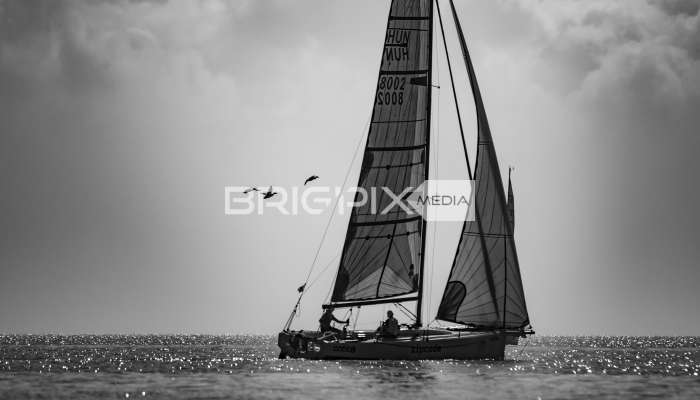 2szem_tokerulo - 2884