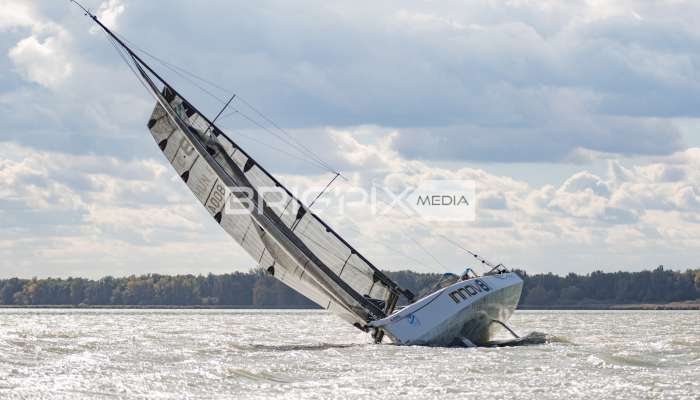 MOLegykezes2017 - 2341