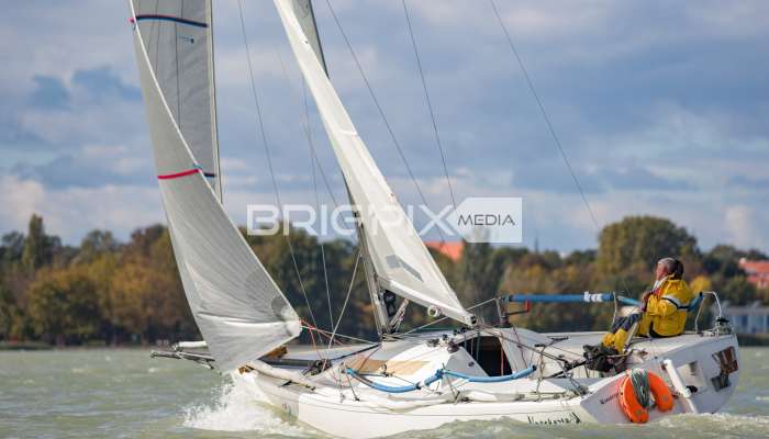 MOLegykezes2017 - 2370