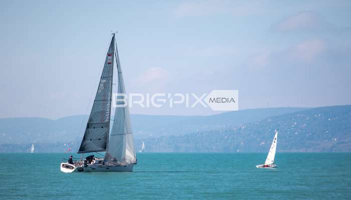 JegesmedveKupa2019 - 3517