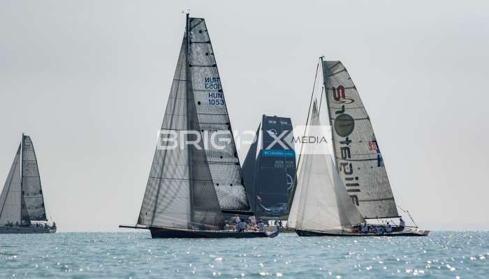 Feherszalag2018 - 1610