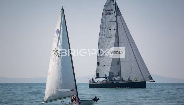 JegesmedveKupa2019 - 3528