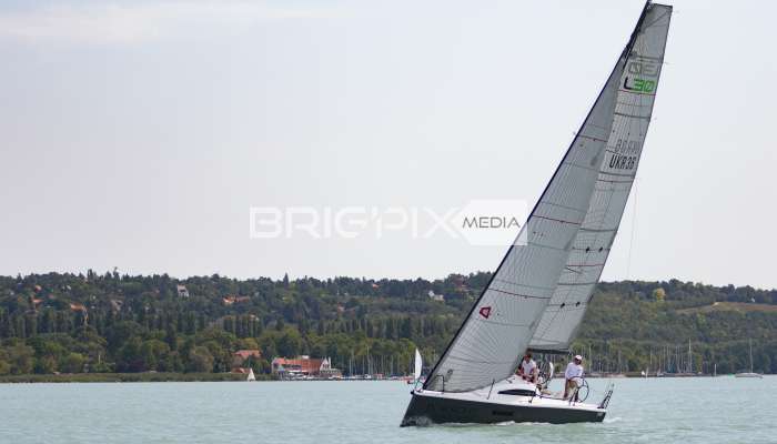 AlkotmanyKupa2017 - 2465