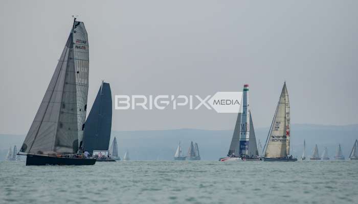 Feherszalag2018 - 1611