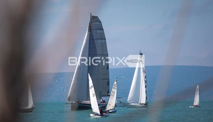 JegesmedveKupa2019 - 3519