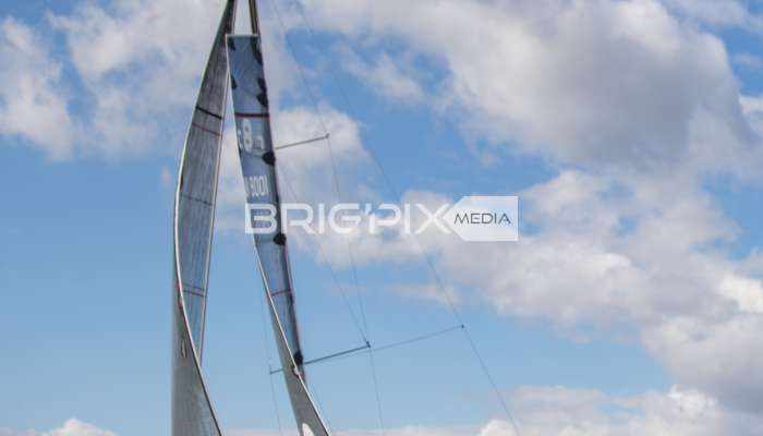 MOLegykezes2017 - 2331