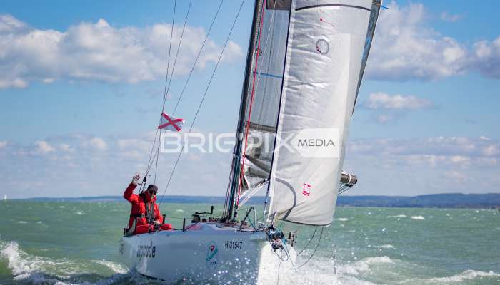 MOLegykezes2017 - 2270