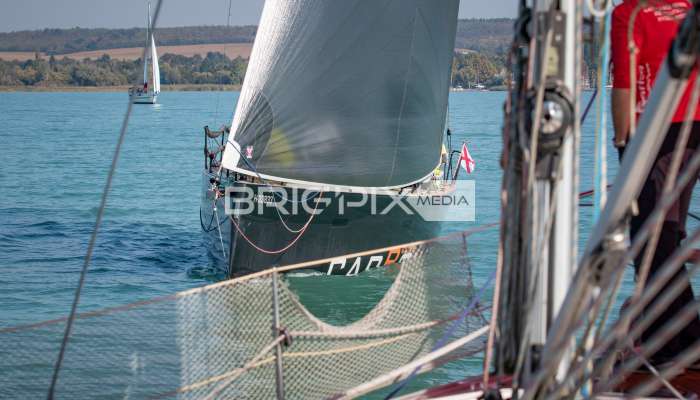 JegesmedveKupa2019 - 3523