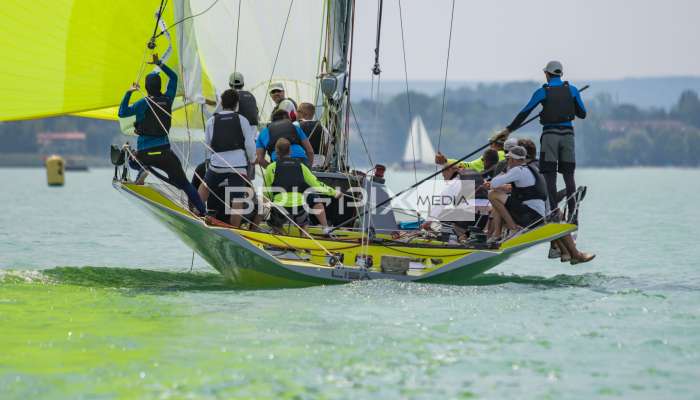 Feherszalag2018 - 1541