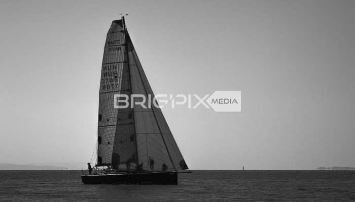 JegesmedveKupa2019 - 3526