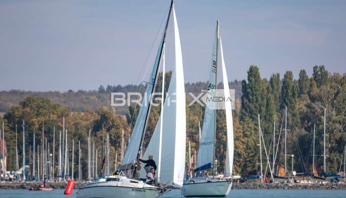 JegesmedveKupa2019 - 3511