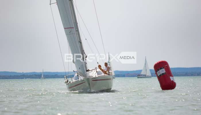 AlkotmanyKupa2017 - 2485