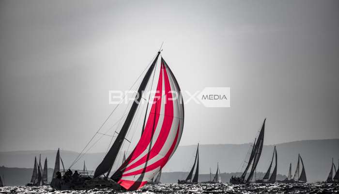 Barcolana /2018 - 1472