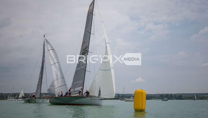 Feherszalag2018 - 1520