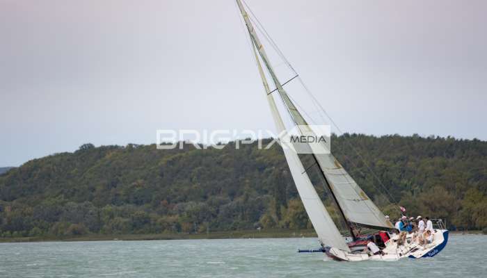 AlkotmanyKupa2017 - 2484