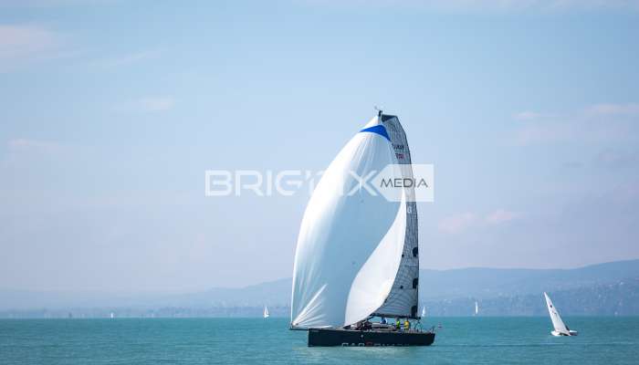 JegesmedveKupa2019 - 3514