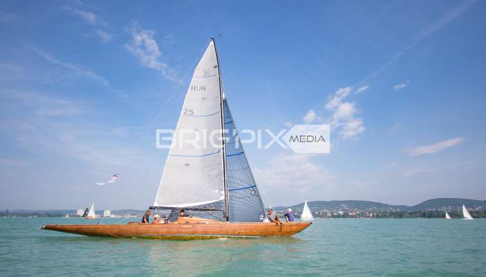 Feherszalag2018 - 1493