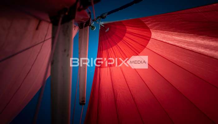 JegesmedveKupa2019 - 3506