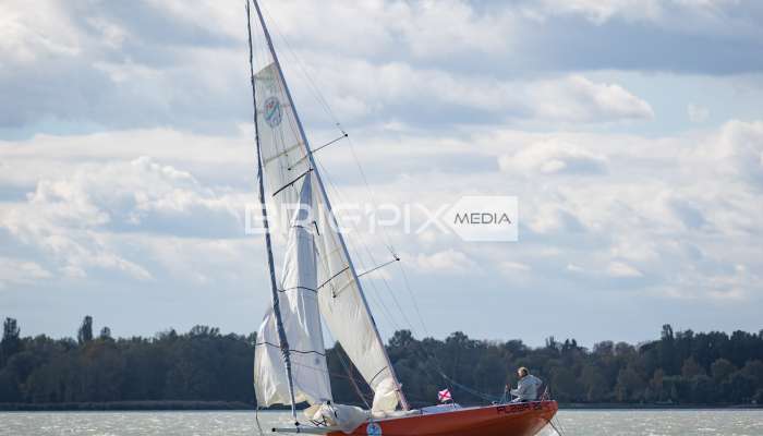 MOLegykezes2017 - 2336