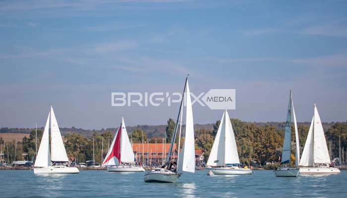 JegesmedveKupa2019 - 3508