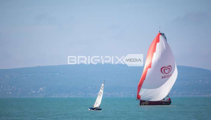 JegesmedveKupa2019 - 3518