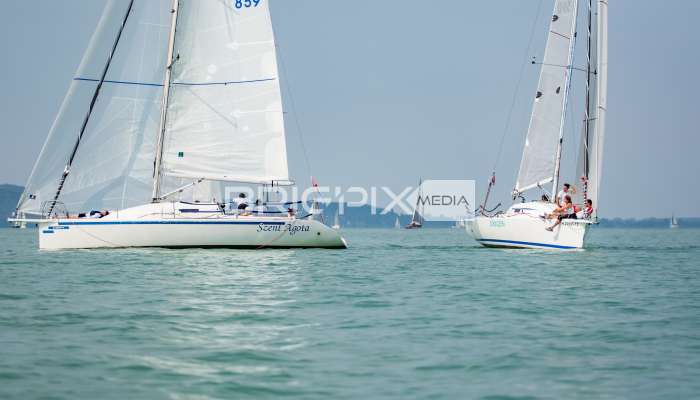 Feherszalag2018 - 1608