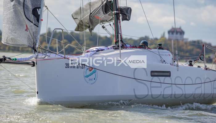 MOLegykezes2017 - 2369