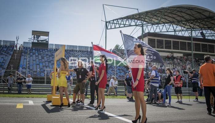 WTCR /2018 - 410