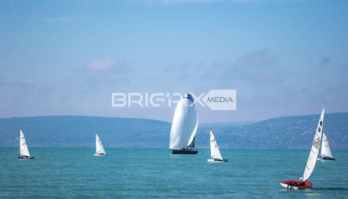 JegesmedveKupa2019 - 3515