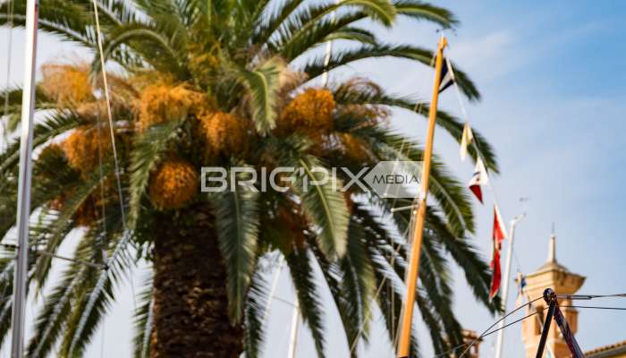 Centomiglia2017 - 2710