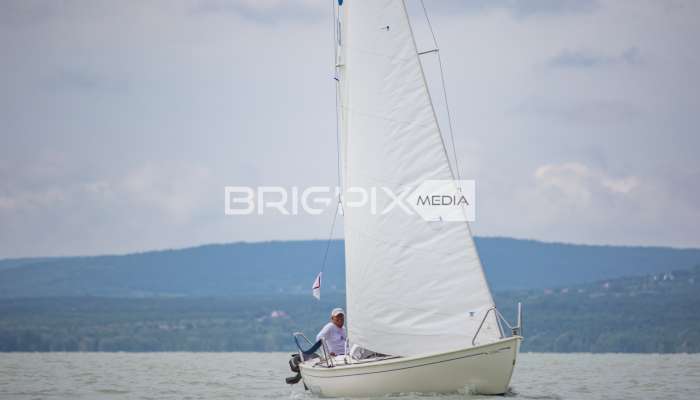 MihalkovicsKupa - 990